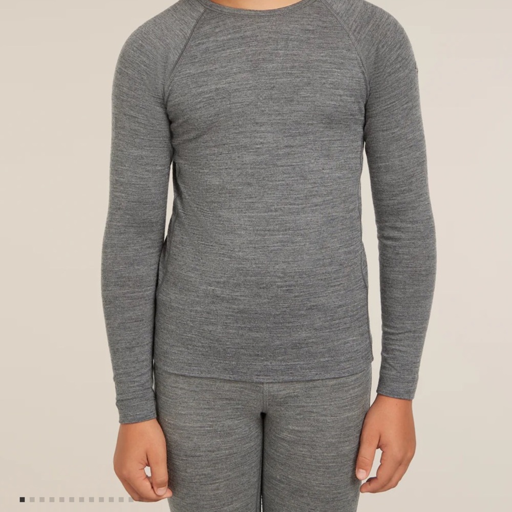 Icebreaker Kids Long Sleeve Tee - Gray